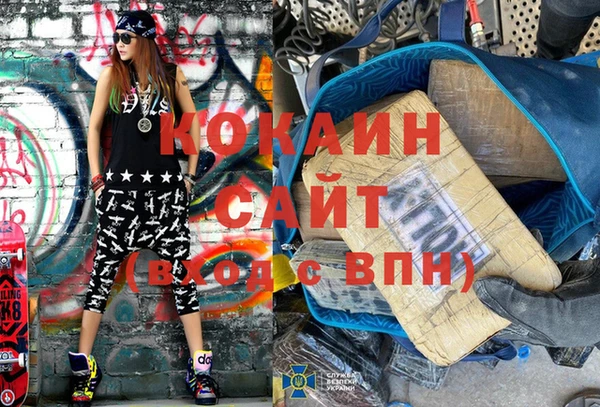 стаф Аркадак