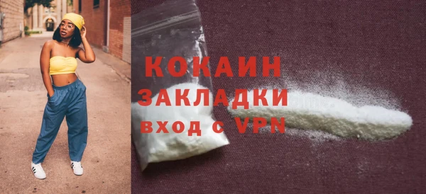 стаф Аркадак