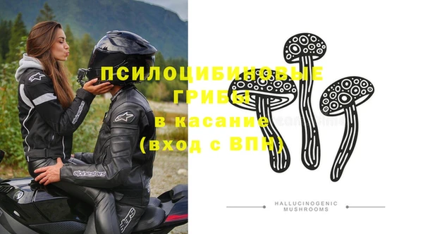 стаф Аркадак